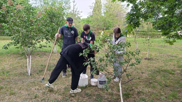 Изображение WhatsApp 2024-05-10 в 00.17.38_ba7e8361