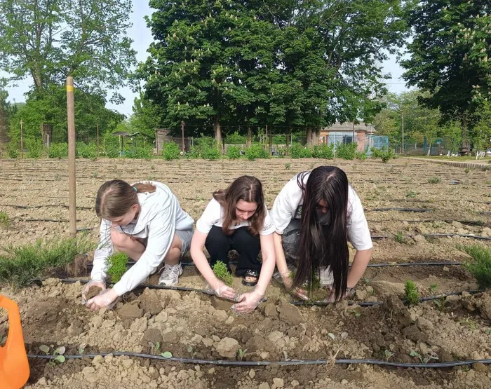 Изображение WhatsApp 2024-05-10 в 00.18.24_2dbf57e5